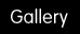 Gecko Gallery