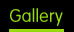 Gecko Gallery