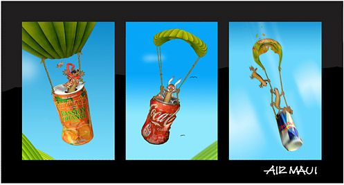 Air Maui