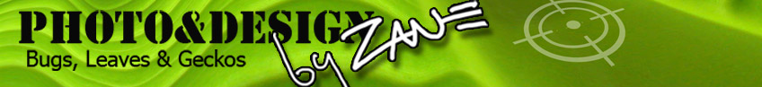 Zane Mathias